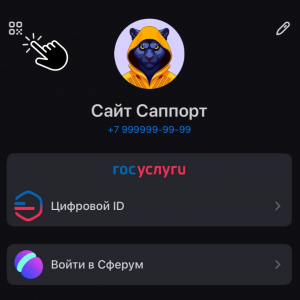 Кнопка мессенджера Max на Вашем WordPress сайте: как быстро добавить удобную связь для клиентов